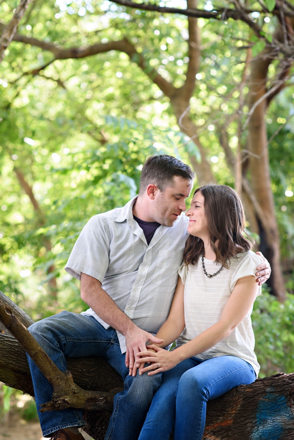 A man holds his fiance while sitting in a tree in fishtown's penn treaty park.